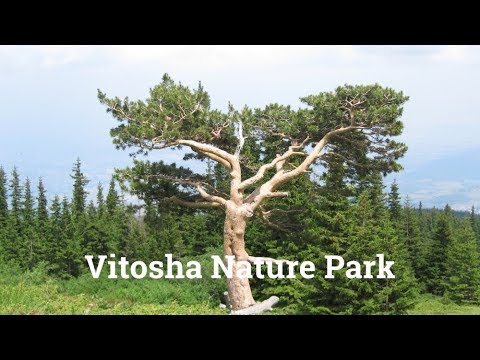 Vitosha Nature Park in Bulgaria