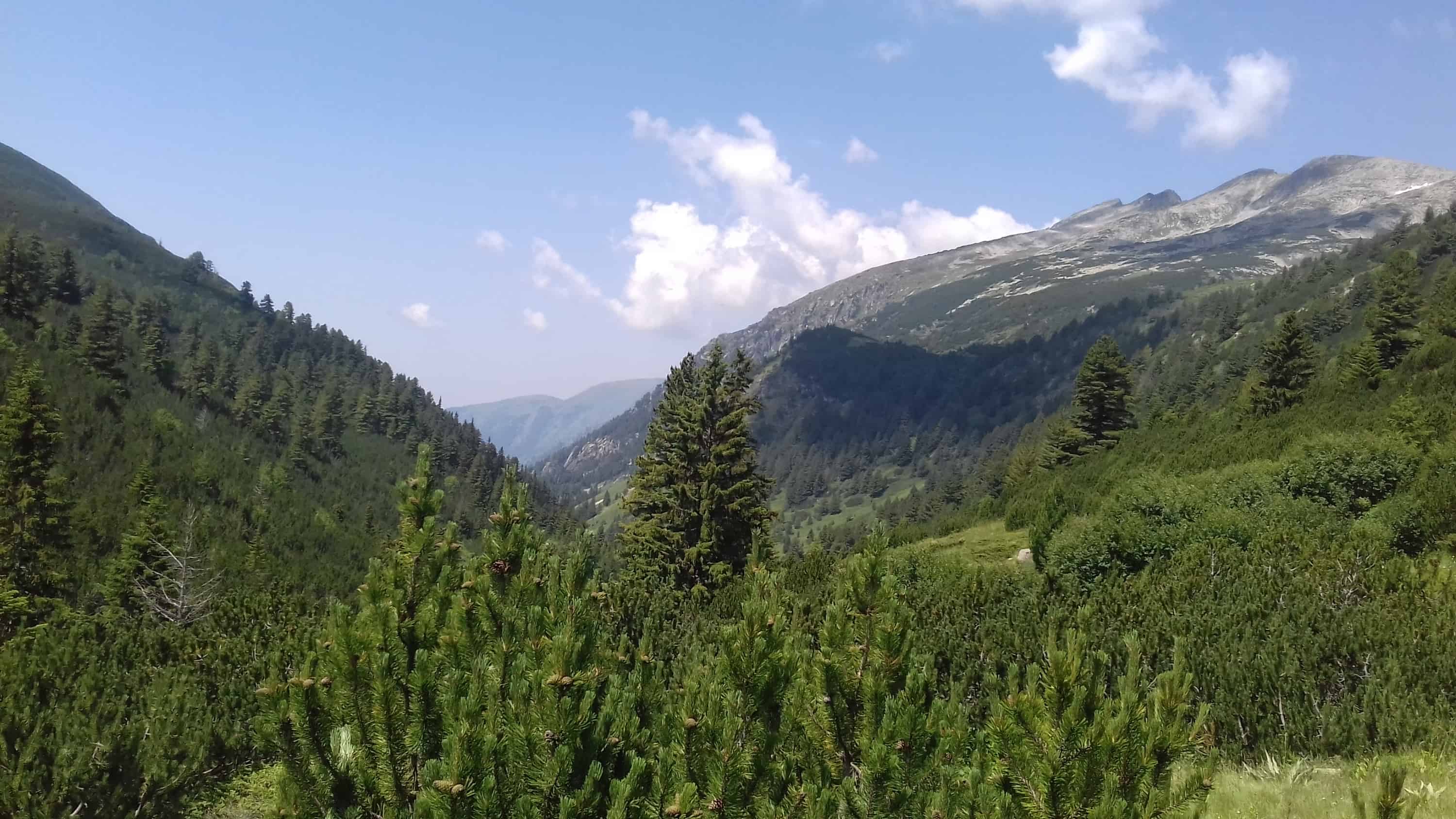 View from Kobilino Braniste - Photo: Rila Monastery Park Directorate