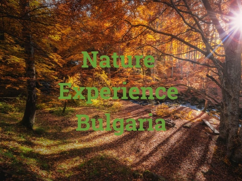Video cover of the video "Nature Experience Bulgaria"