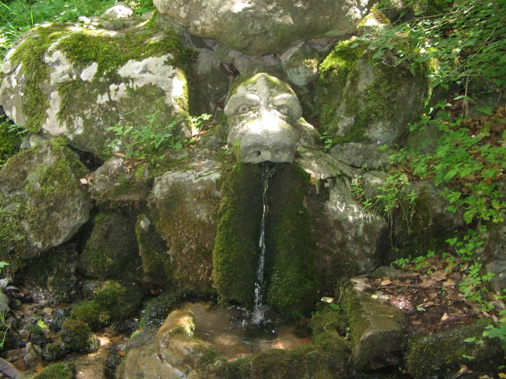 Spring Jivata voda (Living water) - photo: Vitosha Nature Park