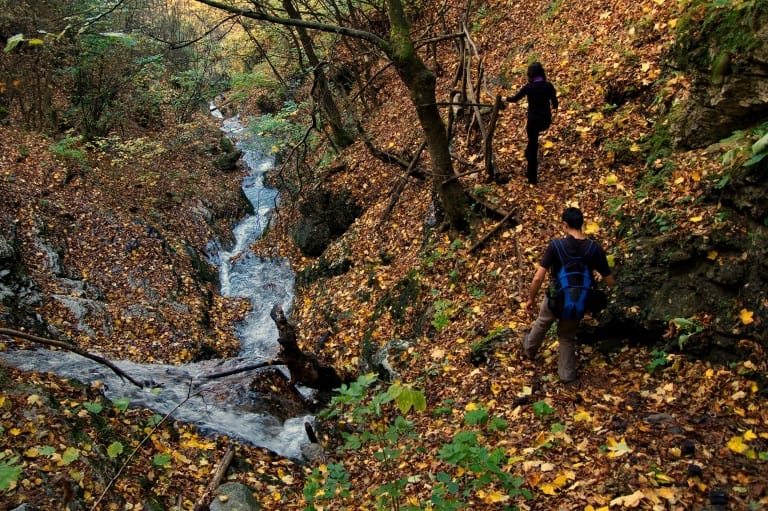 Borov kamak trail - photo: Vrachanski Balkan Nature Park