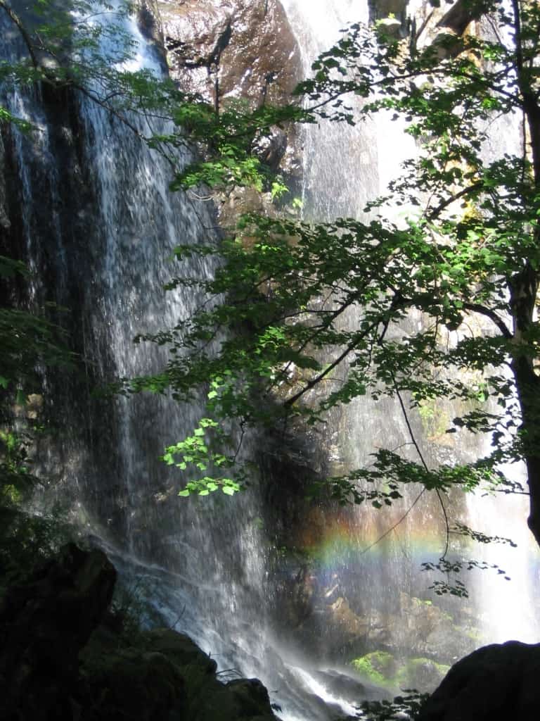 Boyana waterfall - photo: Vitosha Nature Park