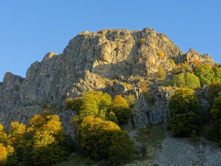 Dzhendema Reserve - Photo: Central Balkan National Park and Biosphere Reserve