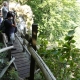 On top of Borov Kamak waterfall in Vrachanski Balkan Nature Park Photo: Terolog