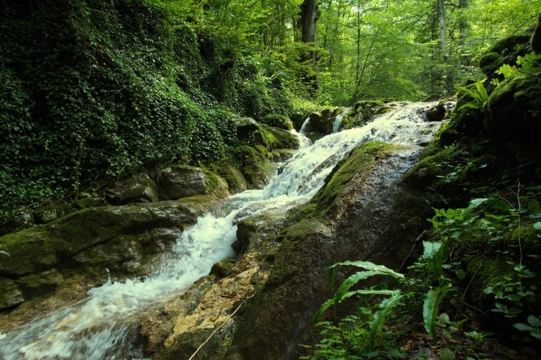 The Black River - photo: Vrachanski Balkan Nature Park