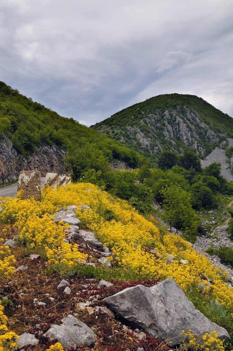 Next to the road towards the summit of Vola - photo: Vrachanski Balkan Nature Park
