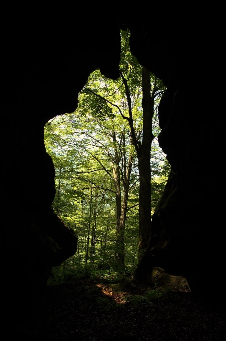 View from a cave into the woods - photo: Vrachanski Balkan Nature Park