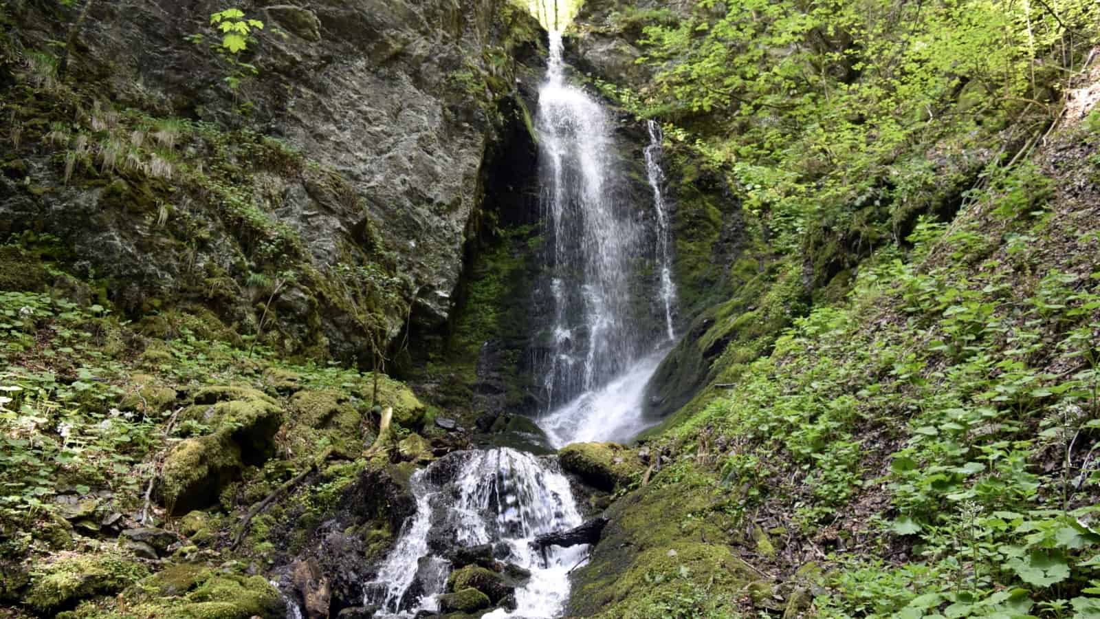 Waterfall - photo: Central Balkan National Park